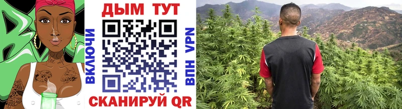 Все наркотики Юрьев-Польский ГАШИШ hydra как зайти Мефедрон Экстази