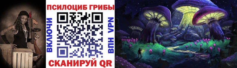Псилоцибиновые грибы Psilocybe  Юрьев-Польский 
